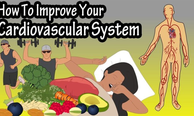 How To Improve Increase Your Cardiovascular System, Heart Rate, Endurance, Stamina And Fitness