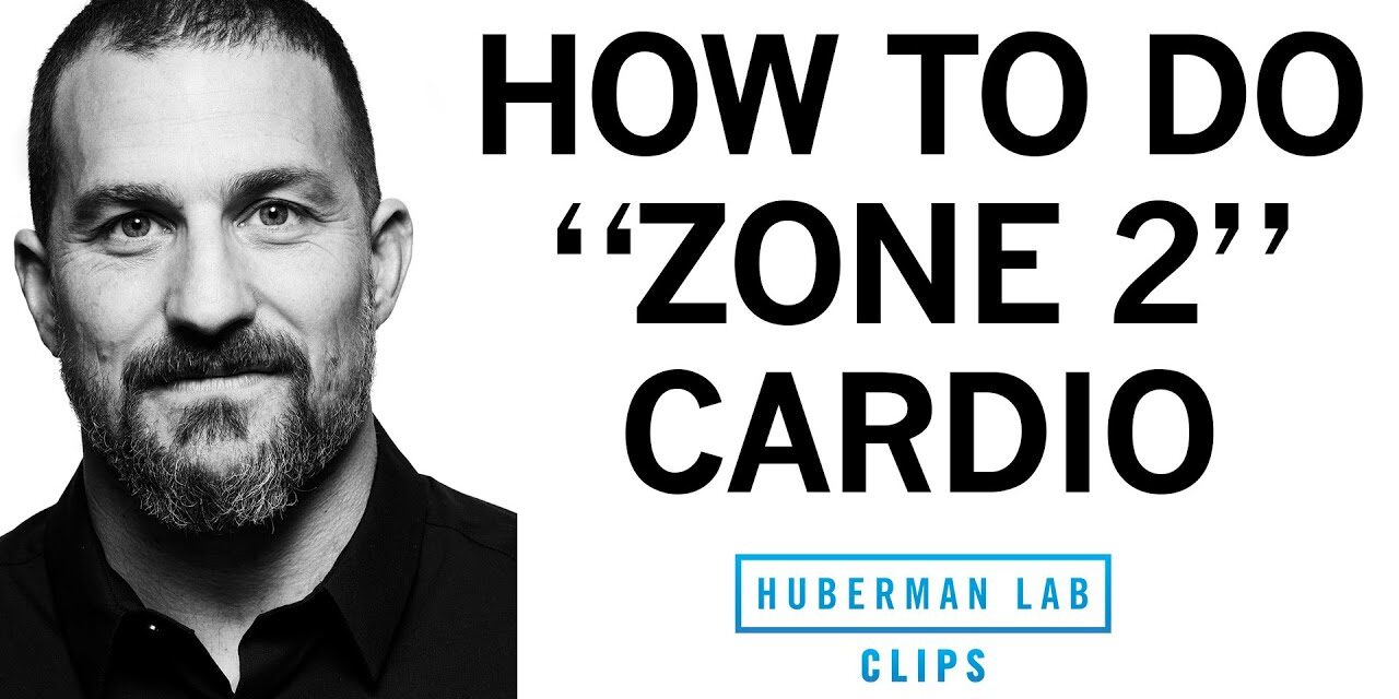 How & Why to Get Weekly "Zone 2" Cardio Workouts | Dr. Andrew Huberman