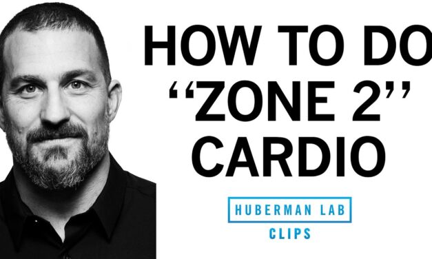 How & Why to Get Weekly "Zone 2" Cardio Workouts | Dr. Andrew Huberman
