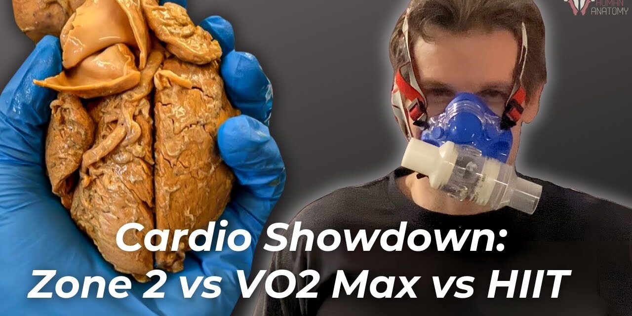 The Most Effective Type of Cardiovascular Training