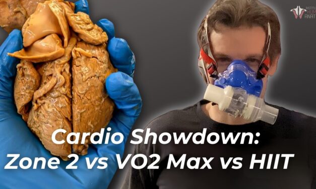 The Most Effective Type of Cardiovascular Training