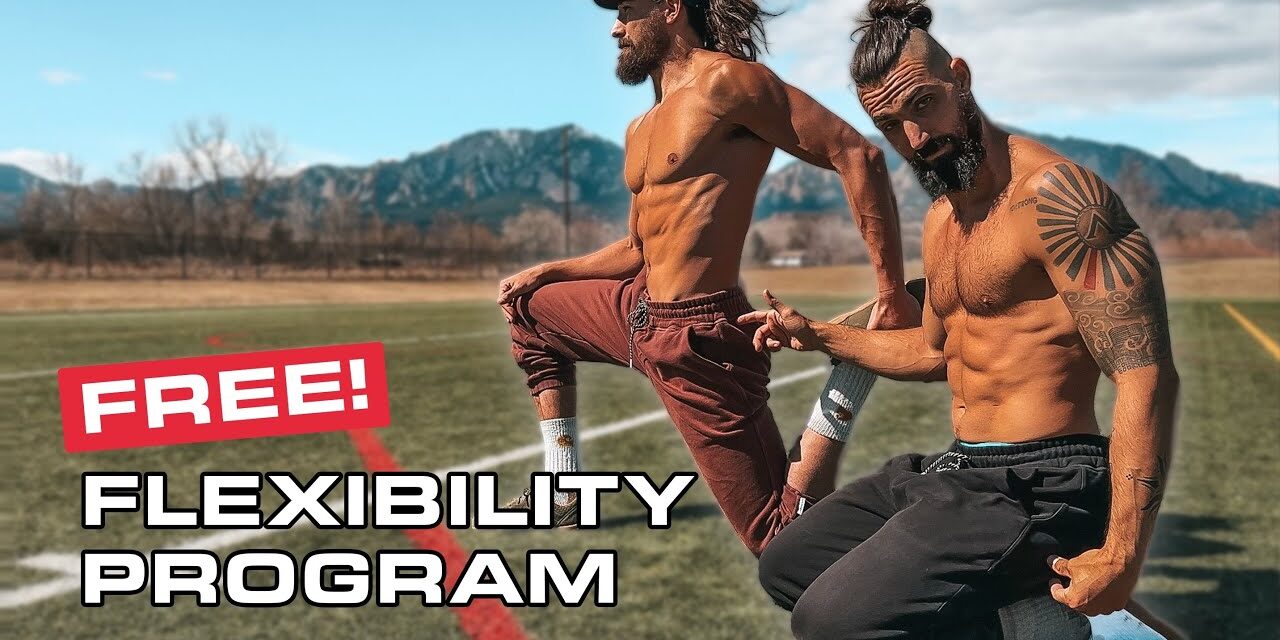The Only MOBILITY Routine you need for Flexibility